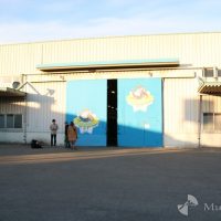 フィッシャーズパーク