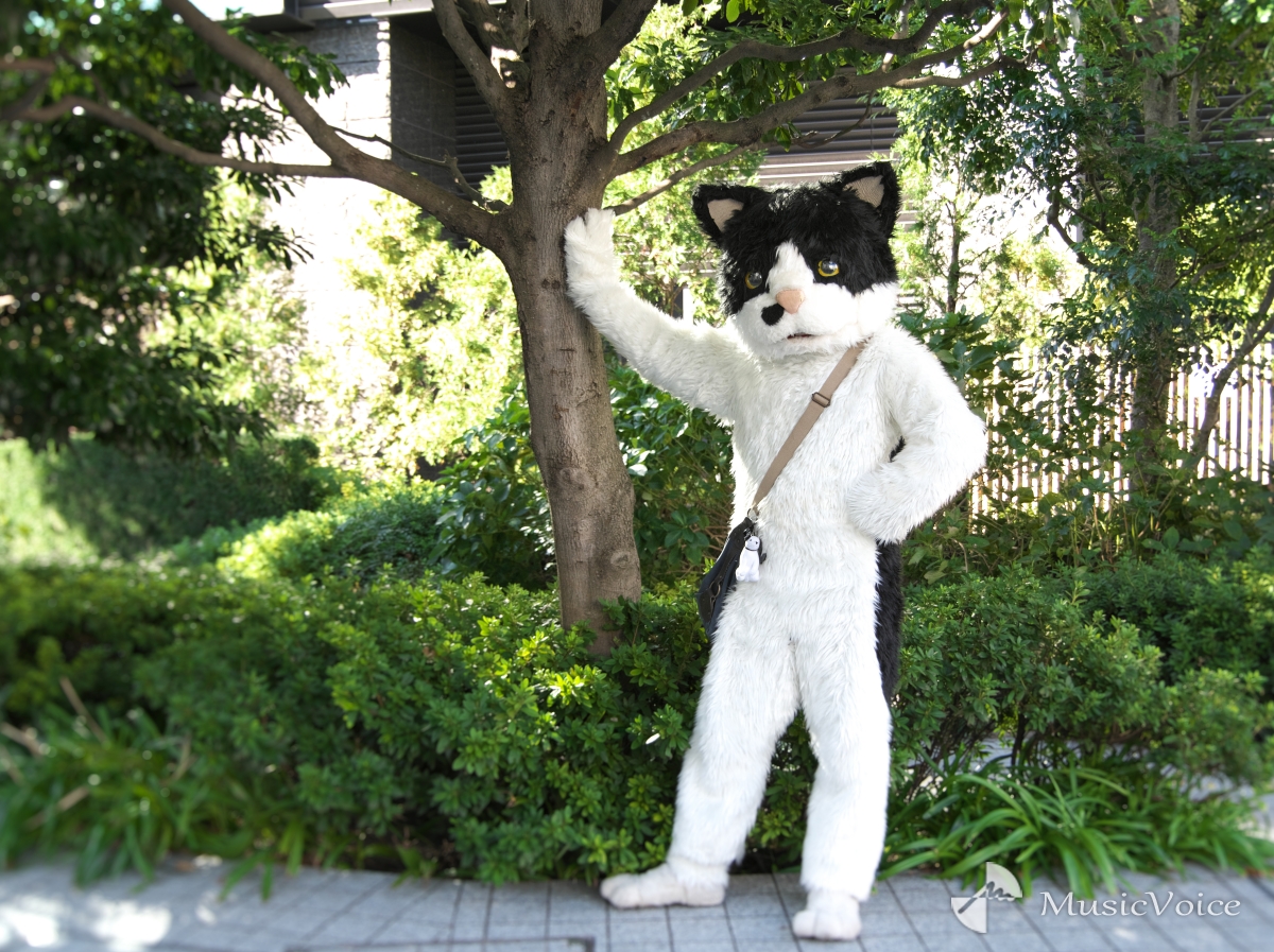 むぎ(猫)音楽の楽しさを伝える“猫”のミュージシャンに迫る