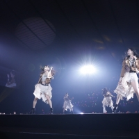 ライブのもよう