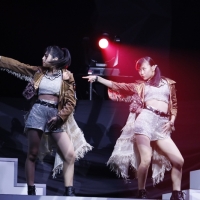 ライブのもよう