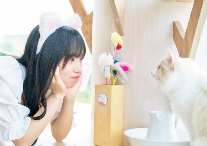 日向坂46齊藤京子 まったりデート 猫カフェでラブビーム とっておきの恋人 新カット エンタメ